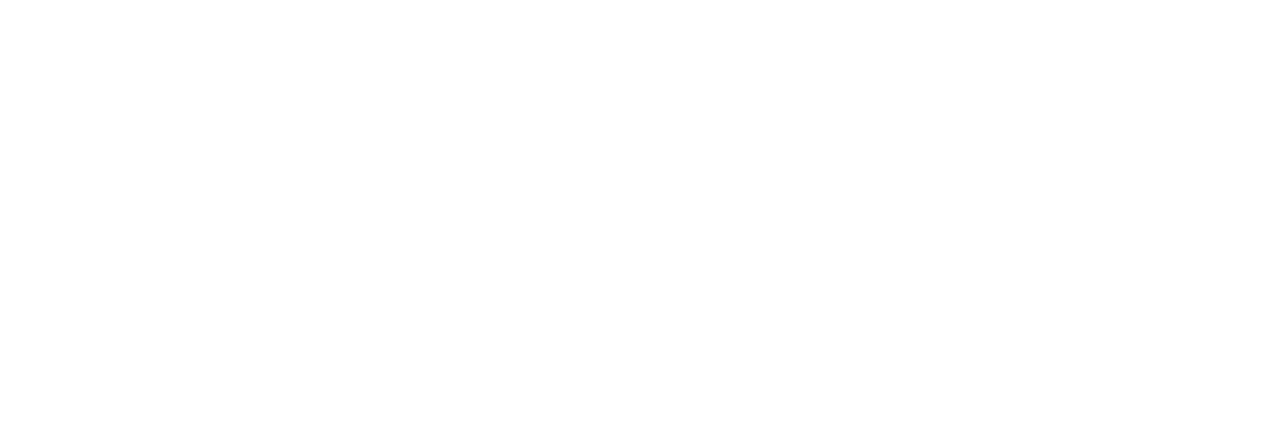 Logo Prime