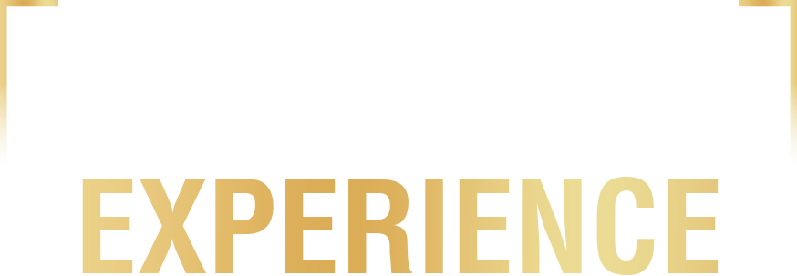 Logo Experience