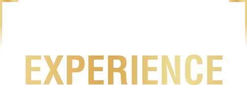 LOGO EXPERIENCE LOGO EXPERIENCE